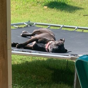 Meet your Posher, Catherine